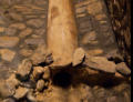 Alte Wasserleitung aus Holz